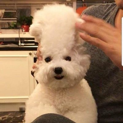 19_90__'s profile picture. 