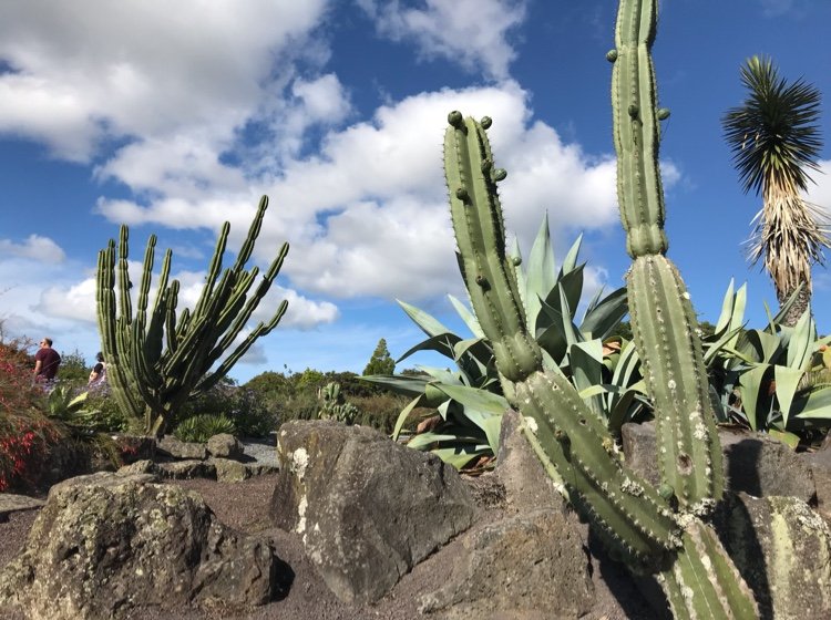 mizusatree's profile picture. 推しを応援しながら海の向こうでオタク👍まったり平和が好きなのんびりさんなはずだけど、いま世界情勢が気になりすぎる。フォローアンフォローお気軽に( •̀ᴗ•́ )و ̑̑