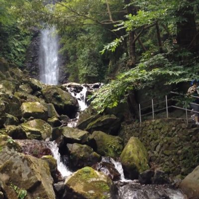 人生、山あり谷あり。心配よし、病気よし、老化よし、悲しくて泣くのよし、自分に自信がなくなることもよし。大切なのは、そんな道を歩んだことで、より人間らしく他人に接することのできる人間になること。苦しみを味わって底を見た人間は優しく強くなれる。少しでも家族のため、今悩んでる人のためにと…そう思う。