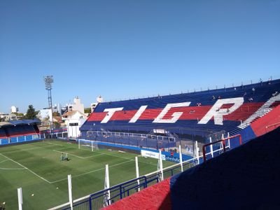 Peronista. Hincha de Tigre Campeón 🏆⭐. Frontal. Las cosas como son.