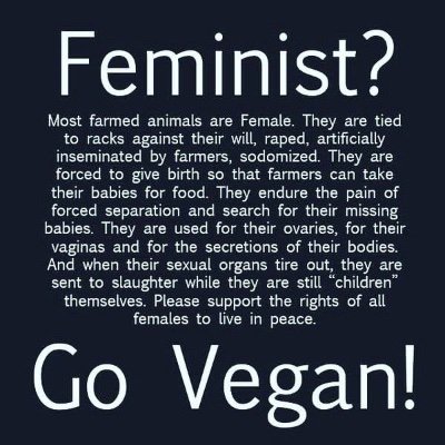 Using every space to create a positive impact.
GGA/Activist sheltering others with words. Defending the voiceless against inhumanity.