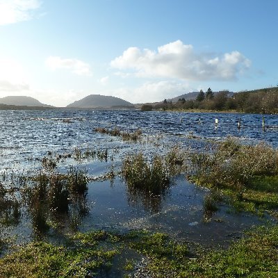 YvonneMcElarney's profile picture. @AFBI_NI Freshwater Ecologist, N. Ireland.  Views my own