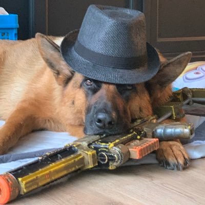 ikke27429575's profile picture. Leef de dag