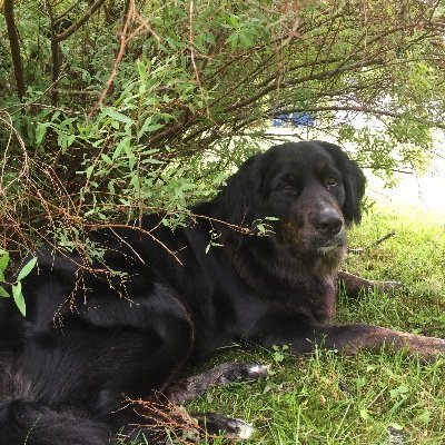 Sellersme1's profile picture. Teacher and beach lover- driftwood collector