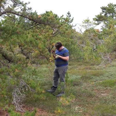 Physics/Mycology Graduate Student at the Farlow Herbarium and Reference Library of Cryptogamic Botany, Harvard University