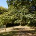 Friends of Cherry Tree Wood (@friendsofcherr1) Twitter profile photo Friends of Cherry Tree Wood (@friendsofcherr1) Twitter profile photo