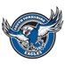 South Yorkshire Eagles (@eaglesyorkshire) Twitter profile photo South Yorkshire Eagles (@eaglesyorkshire) Twitter profile photo