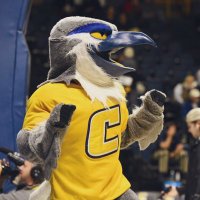 Scrappy (@scrappyutc) 's Twitter Profile Photo Scrappy (@scrappyutc) 's Twitter Profile Photo