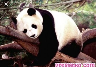 MissMargaret11's profile picture. 