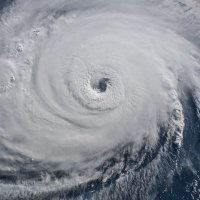 Krista Dotterer (@hurricanedott) 's Twitter Profile