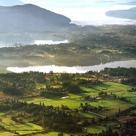 CowichanT's profile picture. 