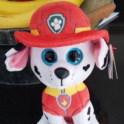 mr_papanatas's profile picture. ...hace un tiempo por acá.