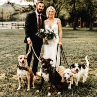 Brian Tiemann (@brianktiemann) 's Twitter Profile