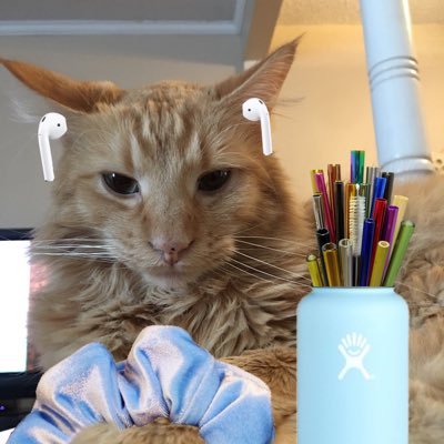 adoptmeroblox4's profile picture. 