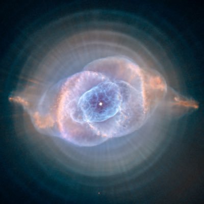 dogswallop's profile picture. 