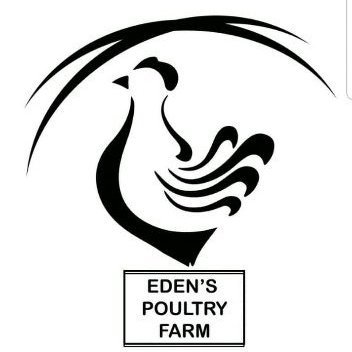 edenspoultry's profile picture. Your number 1 supply of fresh, nutritious and divinely delicious table eggs at affordable prices, right at your doorsteps!
Egg-cellent and Egg-ceptional! 🐣🥚