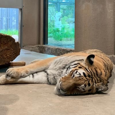 Hamamagggg's profile picture. 元阿佐ヶ谷の民