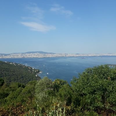 hlvt1001's profile picture. 