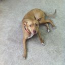 Ruby Griffin - @RedHottRubes - Twitter