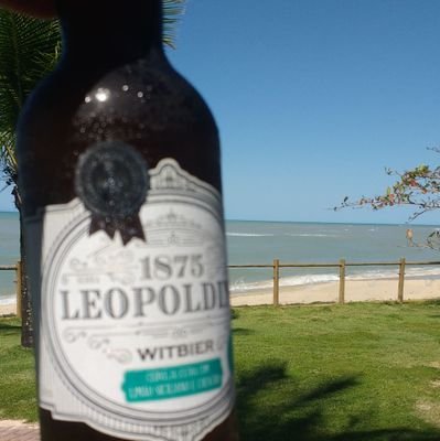 fellipefgs's profile picture. Reality is neutral. Our reactions reflect back and create our world. (Naval)