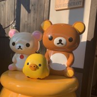 かっつん(あだ名) (@straycatzero) 's Twitter Profile