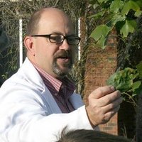 David B. Langston Jr (@davidblangston1) 's Twitter Profile