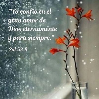 vzlaluz30's profile picture. 