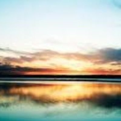 fukharuka's profile picture. よろしくお願いします。