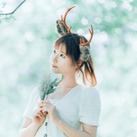 けものん🦌 (@kemonon_nara) 's Twitter Profile Photo けものん🦌 (@kemonon_nara) 's Twitter Profile Photo