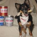 Deb Baker - @CertaProPlano - Twitter