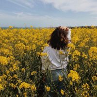 nawel💛 (@mshary99081) 's Twitter Profile