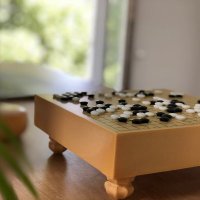 World Of Go (@worldofgo) 's Twitter Profile