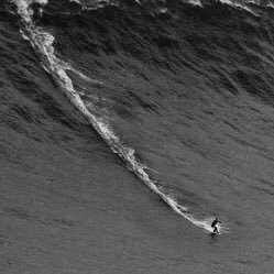 carlosrmm0605's profile picture. “Fall Forward, never back...”