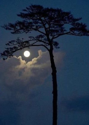 cm2030ksa's profile picture. 