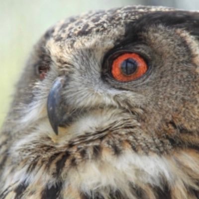 raoluba's profile picture. コミュ力凸凹科/数学属/ロールキャベツ種。知ろうとする。様々な視点を拾い集める。'言葉にできる'は大切なスキル。#ろるばのトリセツ/#情報の読み取り方/#ライフハック/#徒然に持論の展開/スローハイツの神様/世界は数式で出来ている/折り紙/関心空間/Quora/#手巻き煙草/共感性羞恥/視覚認知優位/たけのこ派