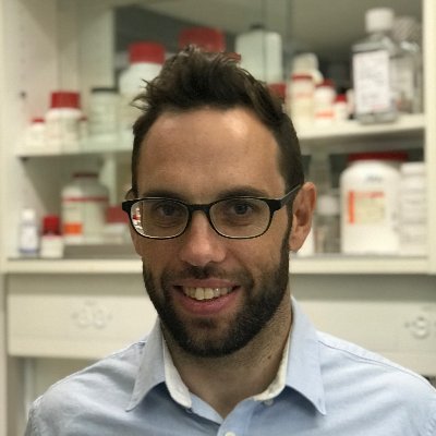 David Thorn Profile