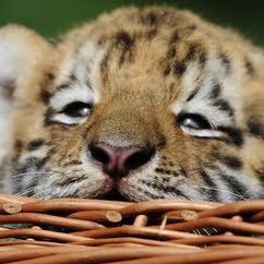 aF5xe025's profile picture. 