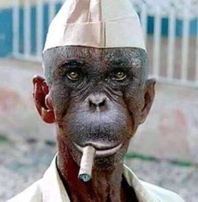 Compro88762832's profile picture. self made