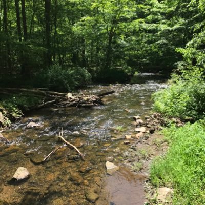 constantbarrage's profile picture. 