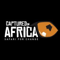 Captured In Africa Safaris(@capinafrica) 's Twitter Profile Photo