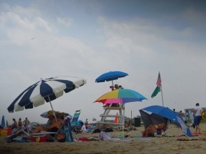 notesonnj's profile picture. Notes on the State of New Jersey - Online publication dedicated to keeping NJ's history alive and recording current happenings for posterity.