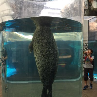 morareki22's profile picture. 世間のモラハラ度合いはいかがなもんかと、無言フォロー、イイネ失礼致します。子供たちが大きくなるにつれてモラハラPOWERupモラハラされてるのも、この何年か前に気がついた💦おそ😱