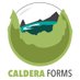 Caldera Forms🌋 (@calderawp) Twitter profile photo Caldera Forms🌋 (@calderawp) Twitter profile photo