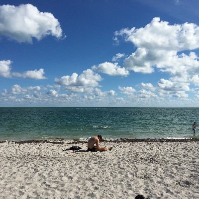 punchyoga's profile picture. industry plant