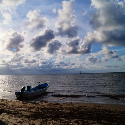 Pakairo's profile picture. Discapacitado capilar...entre otras cosas