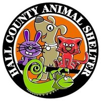 Hall County Animal Services(@HallCoAnimal) 's Twitter Profile Photo