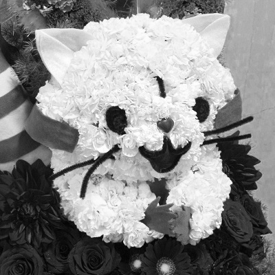Caprichoso3838's profile picture. みやみや(@miyamiyatan)さんの気まぐれな呟き 𝑐𝑜𝑠𝑝𝑙𝑎𝑦𝑒𝑟 / 𝑓𝑒𝑚𝑎𝑙𝑒 𝑏𝑎𝑛𝑑 / 𝑚𝑜𝑑𝑒𝑙 / 𝑝𝑖𝑛-𝑢𝑝 𝑔𝑖𝑟𝑙 / 𝑠𝑡𝑟𝑒𝑎𝑚𝑒𝑟 / 𝑎𝑛𝑑 𝑚𝑜𝑟𝑒...