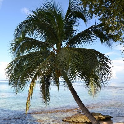 opinodetodo10's profile picture. Pendiente a Noticias, deportes,sismos,el tiempo y virus