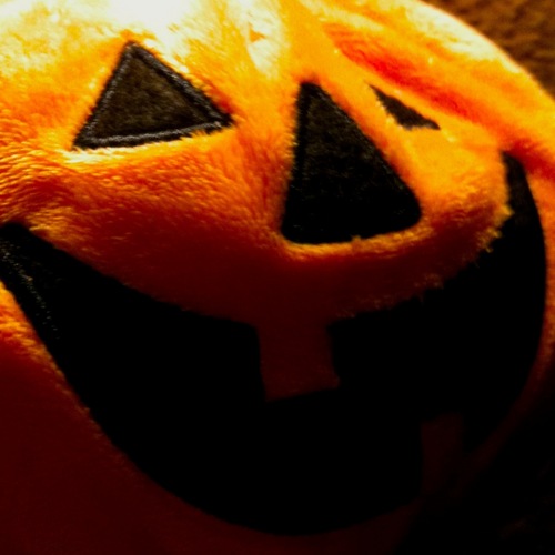 willcontest's profile picture. I am a plumpkin. I greet my kin. Hello.