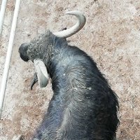 Michael B. (@michael91985709) 's Twitter Profile